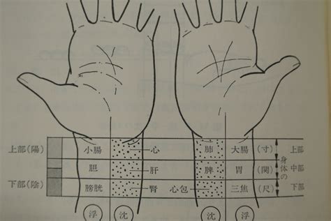 脈弦|漢方・中医学の脈診の解説